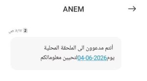 هام للمستفيدين من منحة البطالة: إجراءات التحيين الإجباري والوثائق المطلوبة
